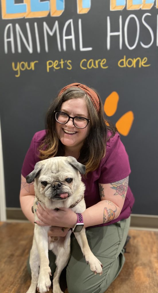 Photo Gallery in Chicago, IL West Loop Veterinary Care